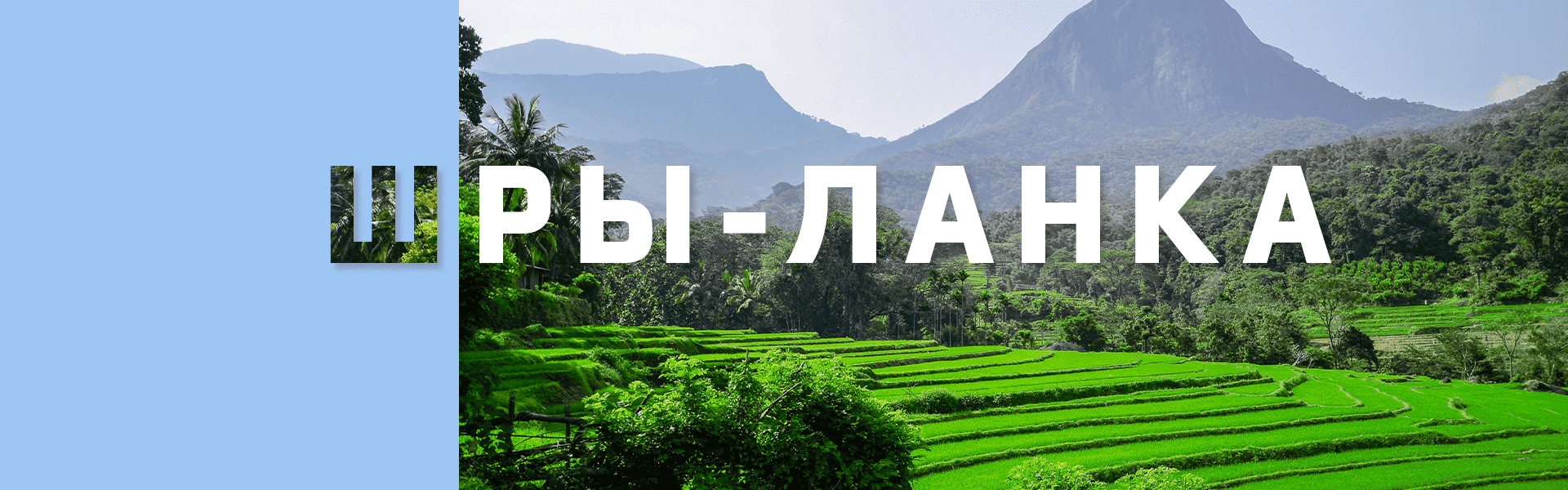 Новы рэйс Новы рэйс